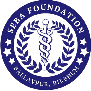 SEBA Foundation Logo